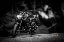 Jérémie MOLARO - F & F PHOTOGRAPHIE