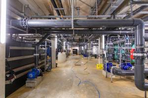 Julien SESIA - Julien-Sésia-Photographie©